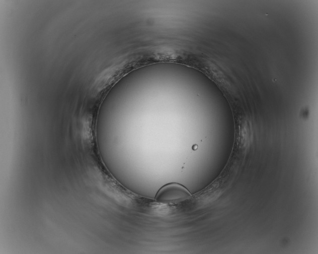 X0000112410616200908211123