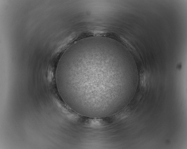 X0000112410618200908211123