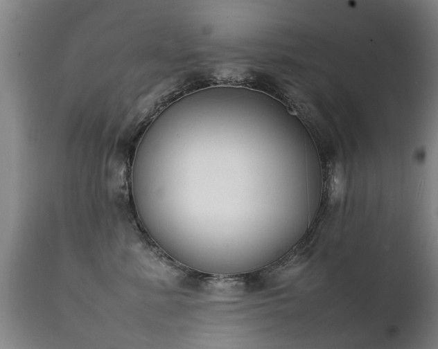 X0000112410619200908211123