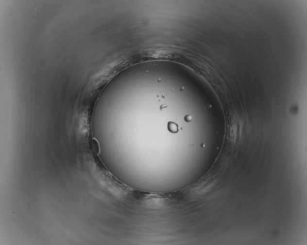 X0000112410620200908211123
