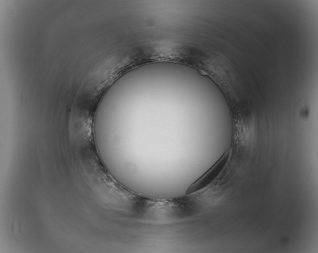 X0000112410621200908211123