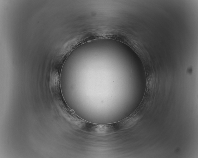X0000112410623200908211123