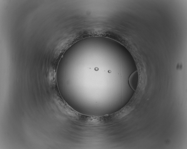 X0000112410624200908211123