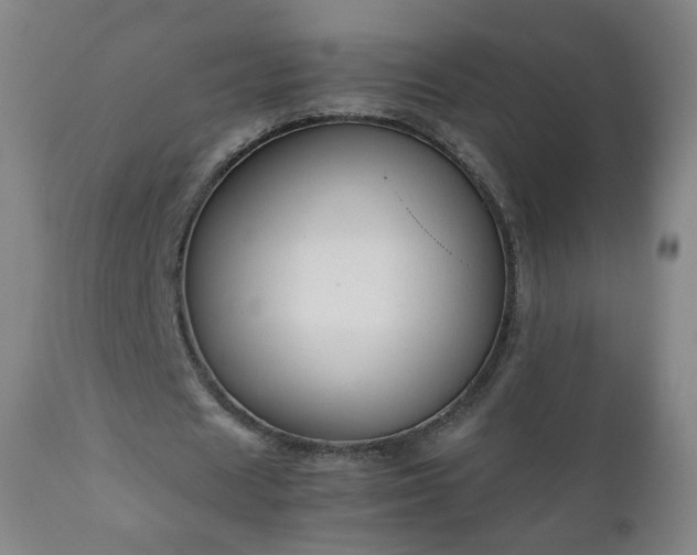 X0000112410625200908211122