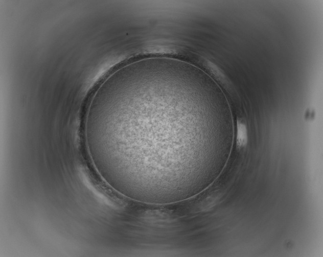 X0000112410627200908211122