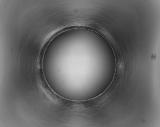 X0000112410628200908211122
