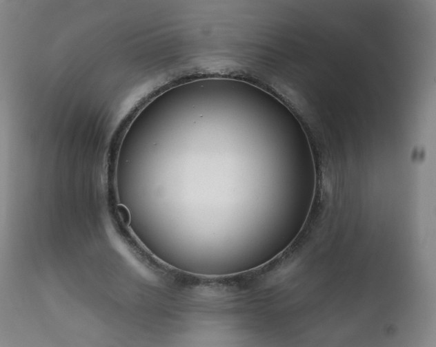 X0000112410630200908211123