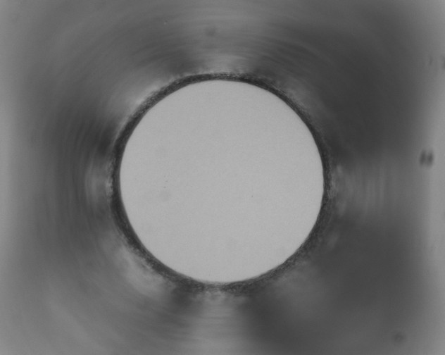 X0000112410632200908211123