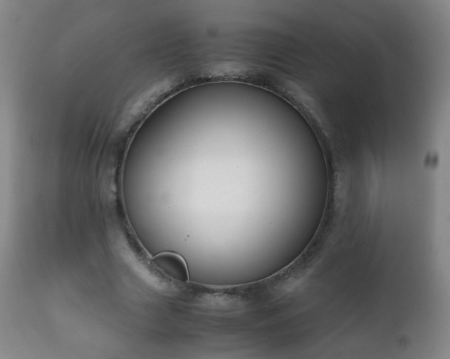 X0000112410633200908211123