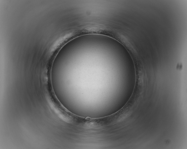 X0000112410634200908211123