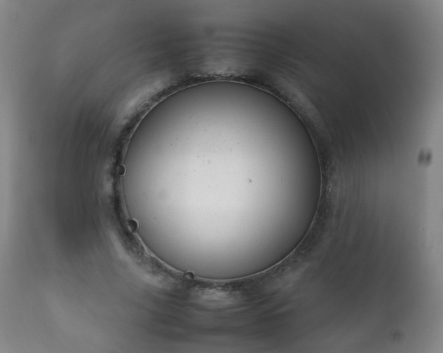 X0000112410635200908211123