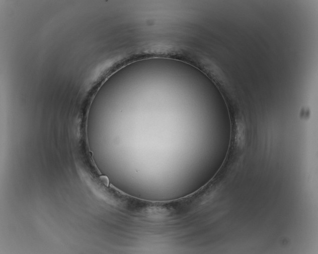 X0000112410636200908211123