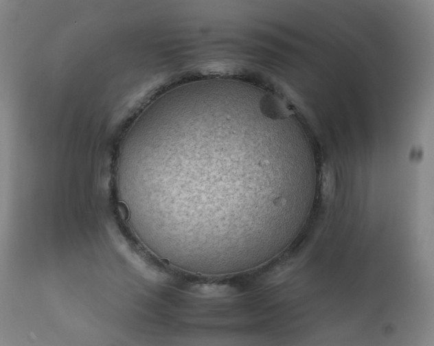 X0000112410637200908211123