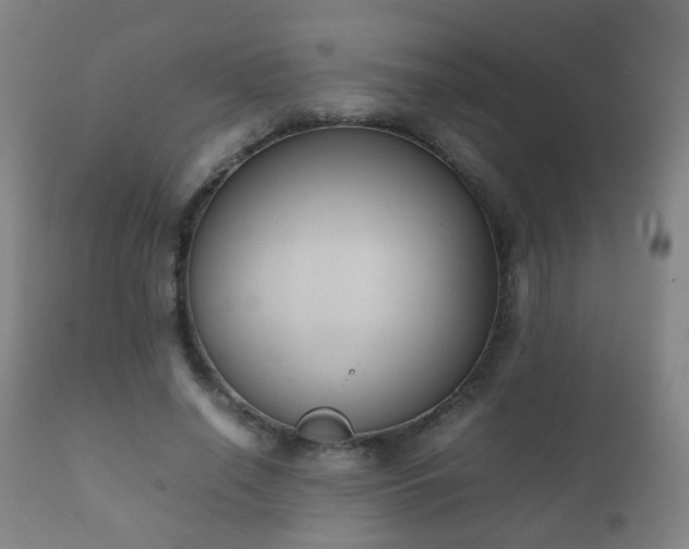 X0000112410638200908211123