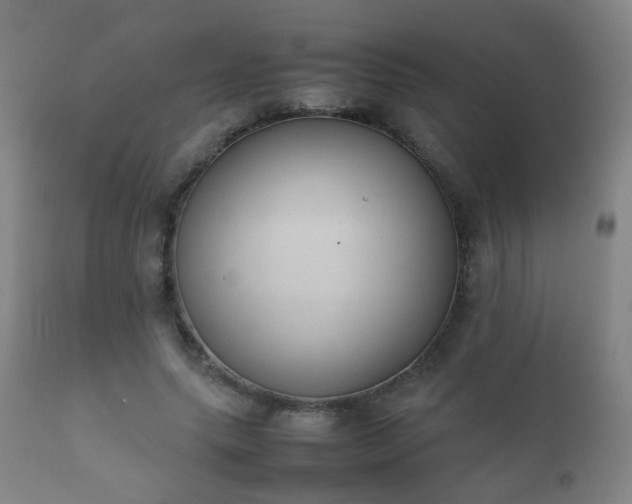 X0000112410639200908211123