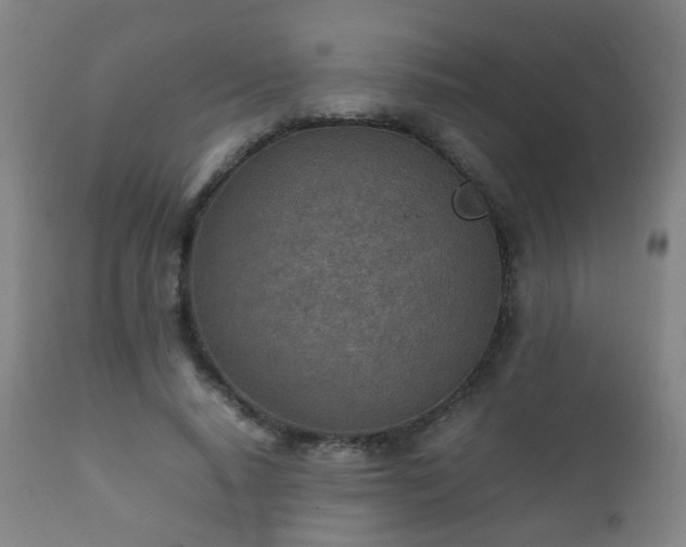 X0000112410640200908211123