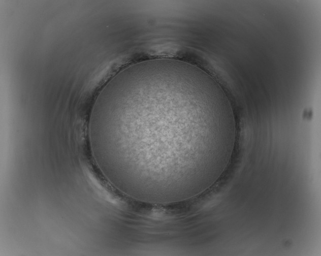 X0000112410641200908211123