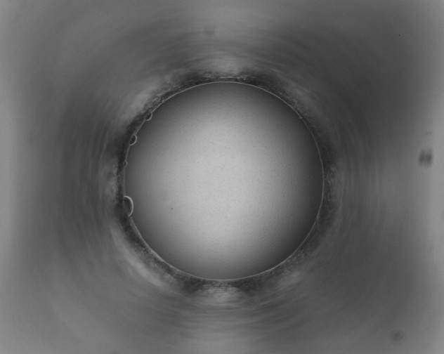 X0000112410642200908211123