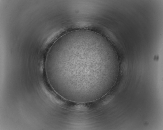 X0000112410644200908211123