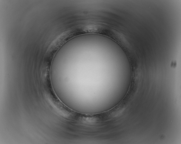X0000112410645200908211123