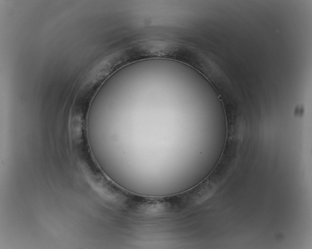 X0000112410646200908211123