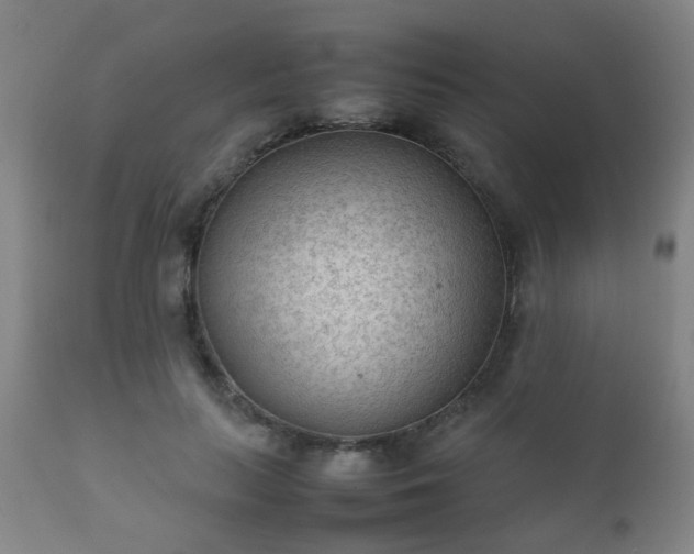 X0000112410647200908211123
