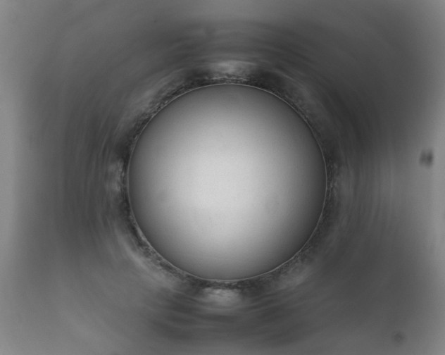 X0000112410649200908211123