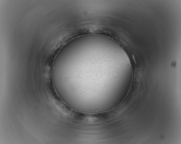 X0000112410650200908211123