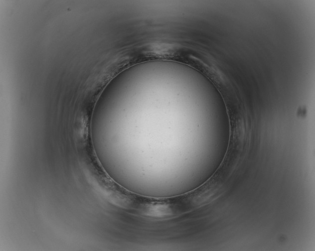 X0000112410651200908211123