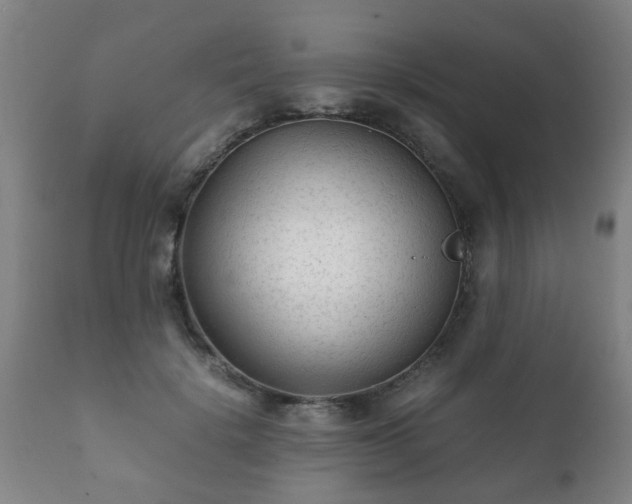 X0000112410652200908211123