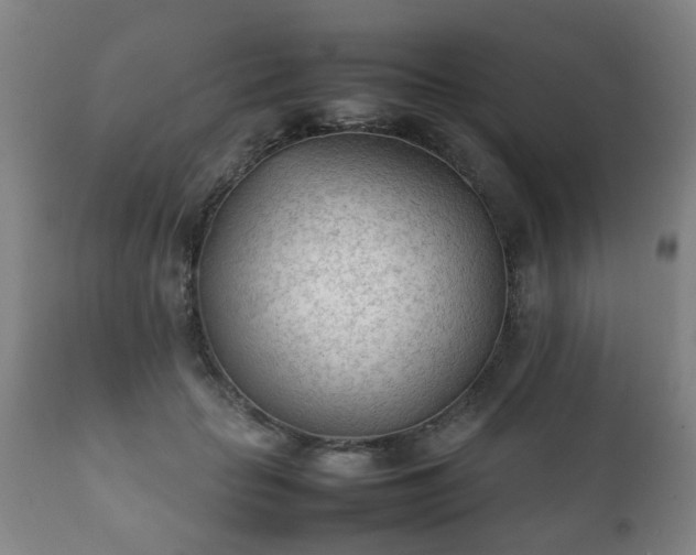 X0000112410653200908211123