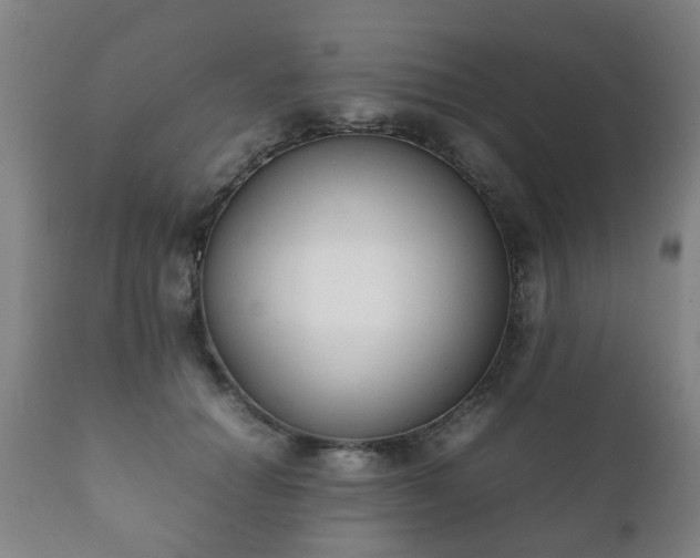 X0000112410654200908211123