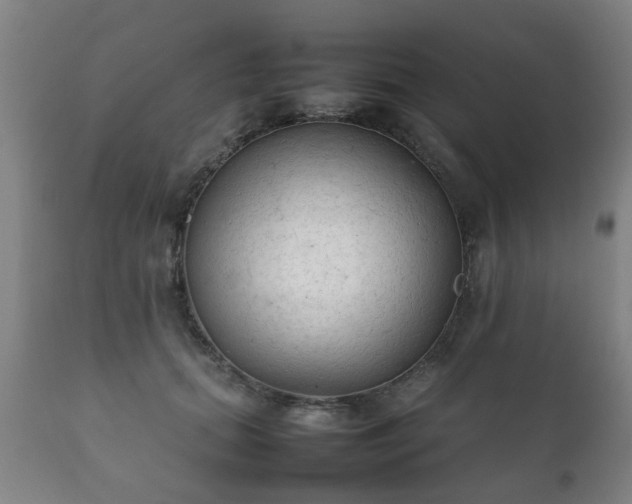 X0000112410655200908211123