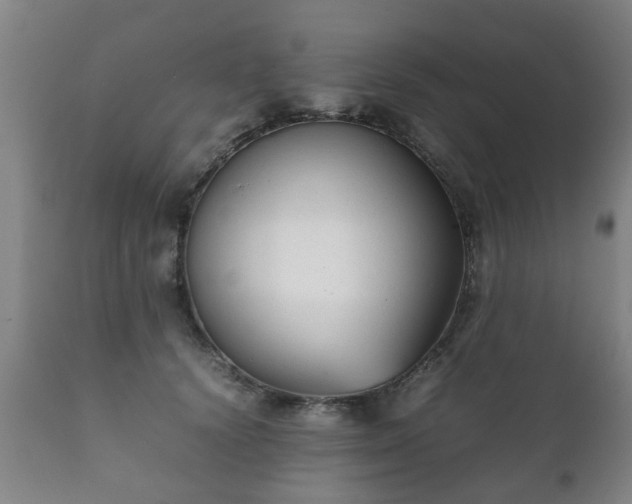 X0000112410656200908211123