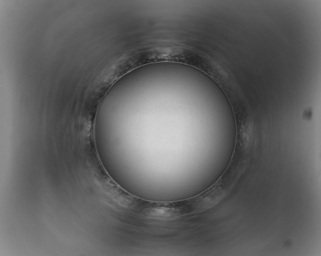 X0000112410657200908211123