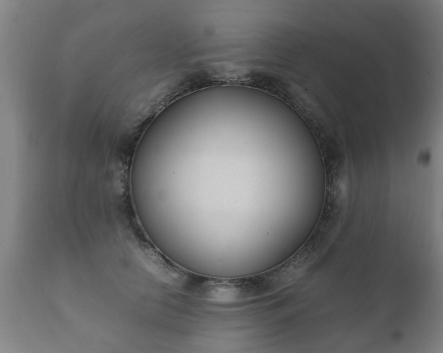 X0000112410658200908211123