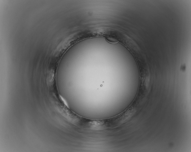 X0000112410660200908211123