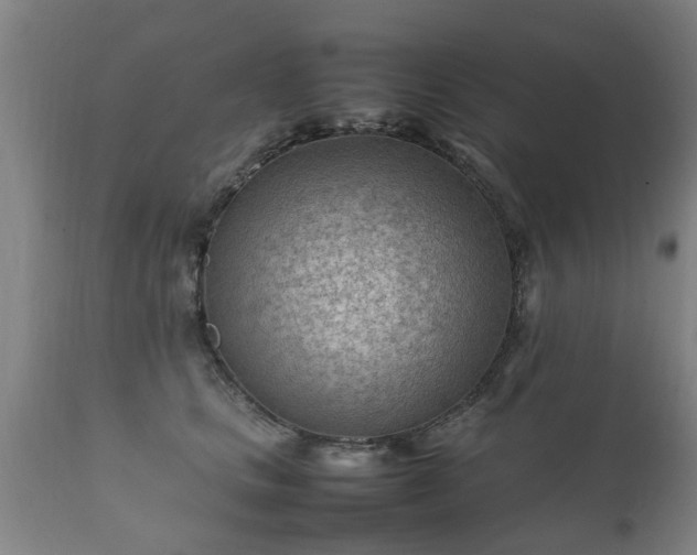 X0000112410661200908211123