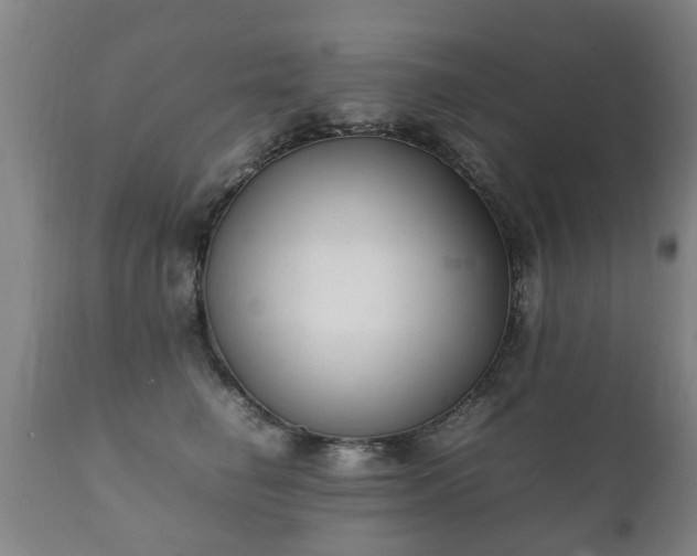 X0000112410662200908211123