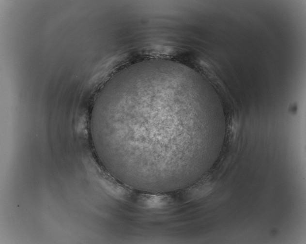 X0000112410663200908211123
