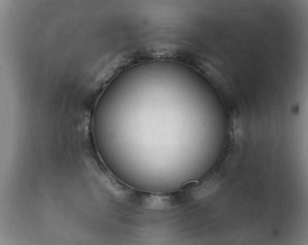 X0000112410664200908211123