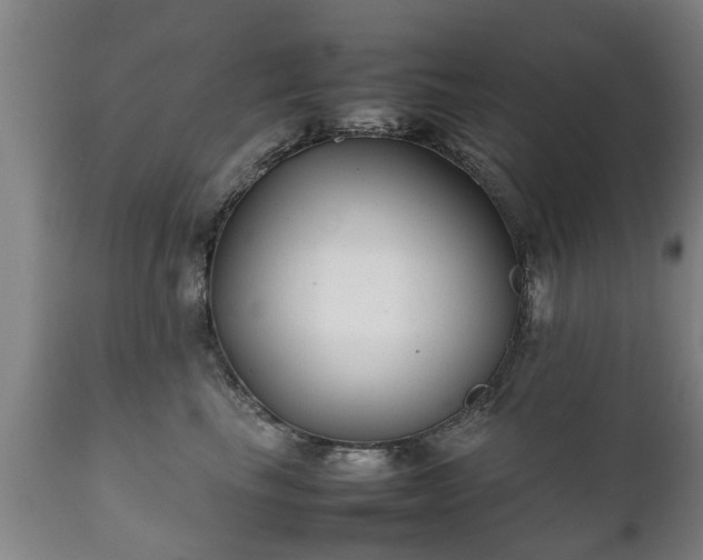 X0000112410665200908211123