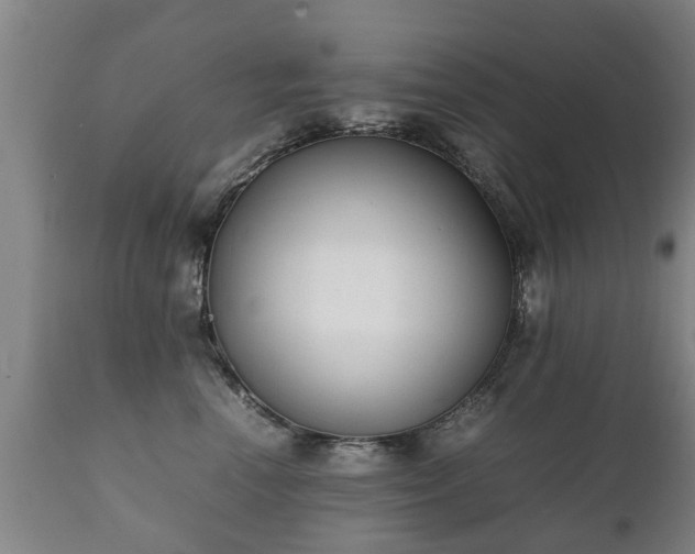 X0000112410666200908211123