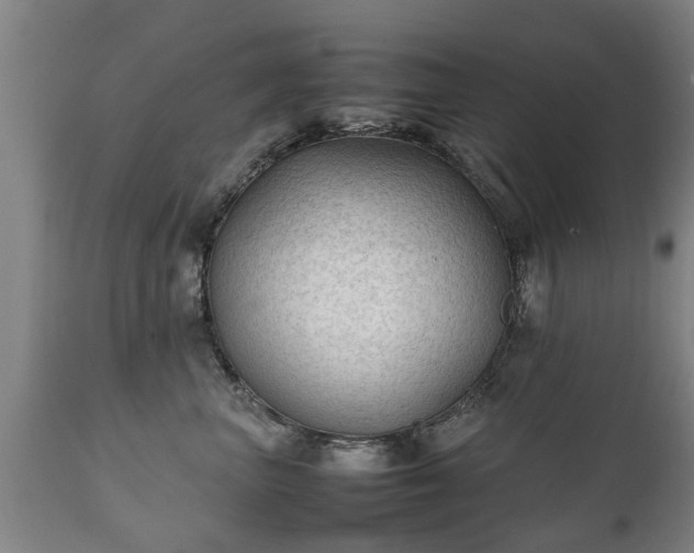 X0000112410667200908211123