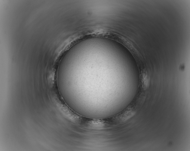 X0000112410668200908211123
