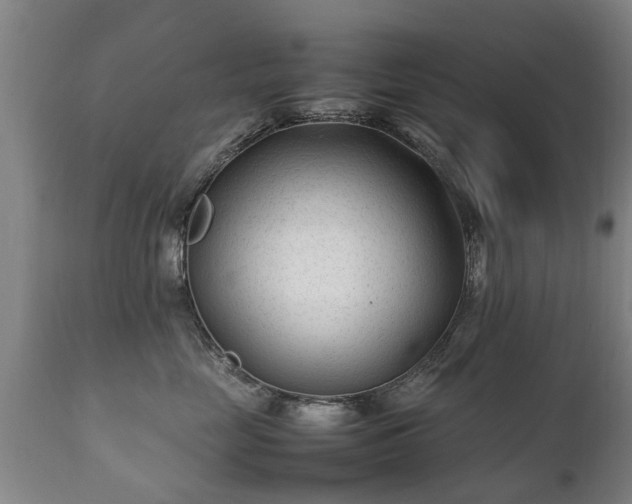 X0000112410669200908211123