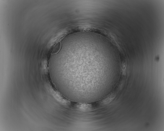 X0000112410670200908211123