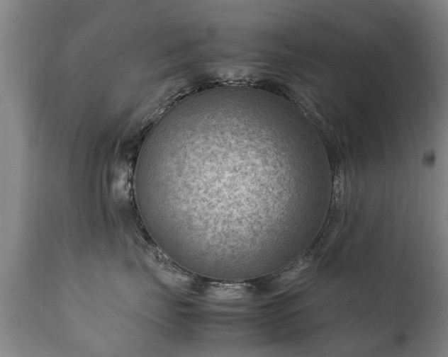 X0000112410671200908211123