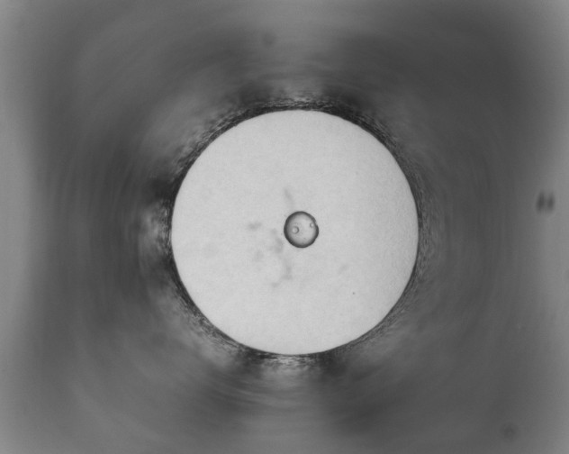 X0000112410672200908211123