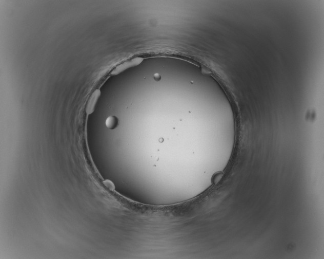 X0000112410673200908211122